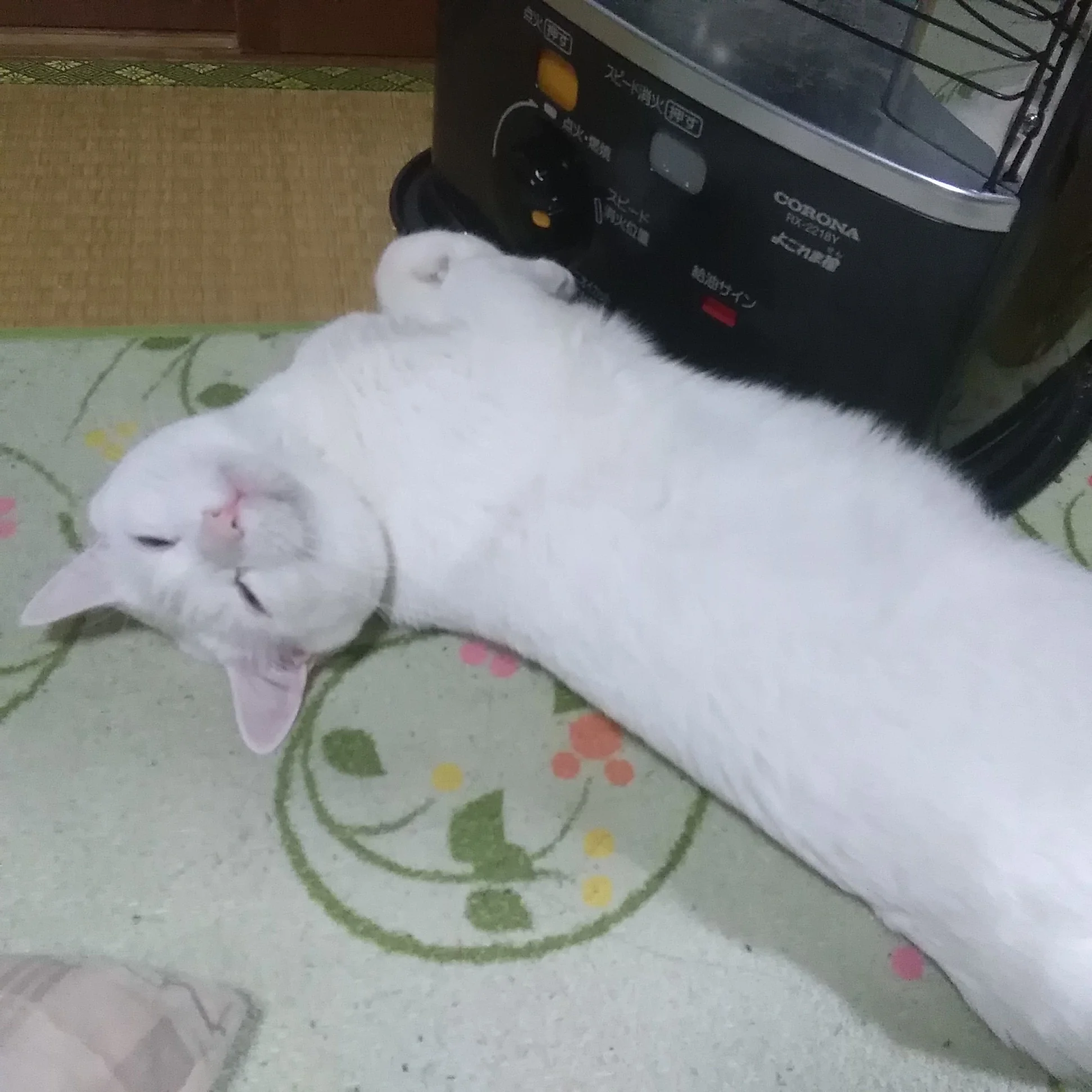 20190524230124-72meko.webp
