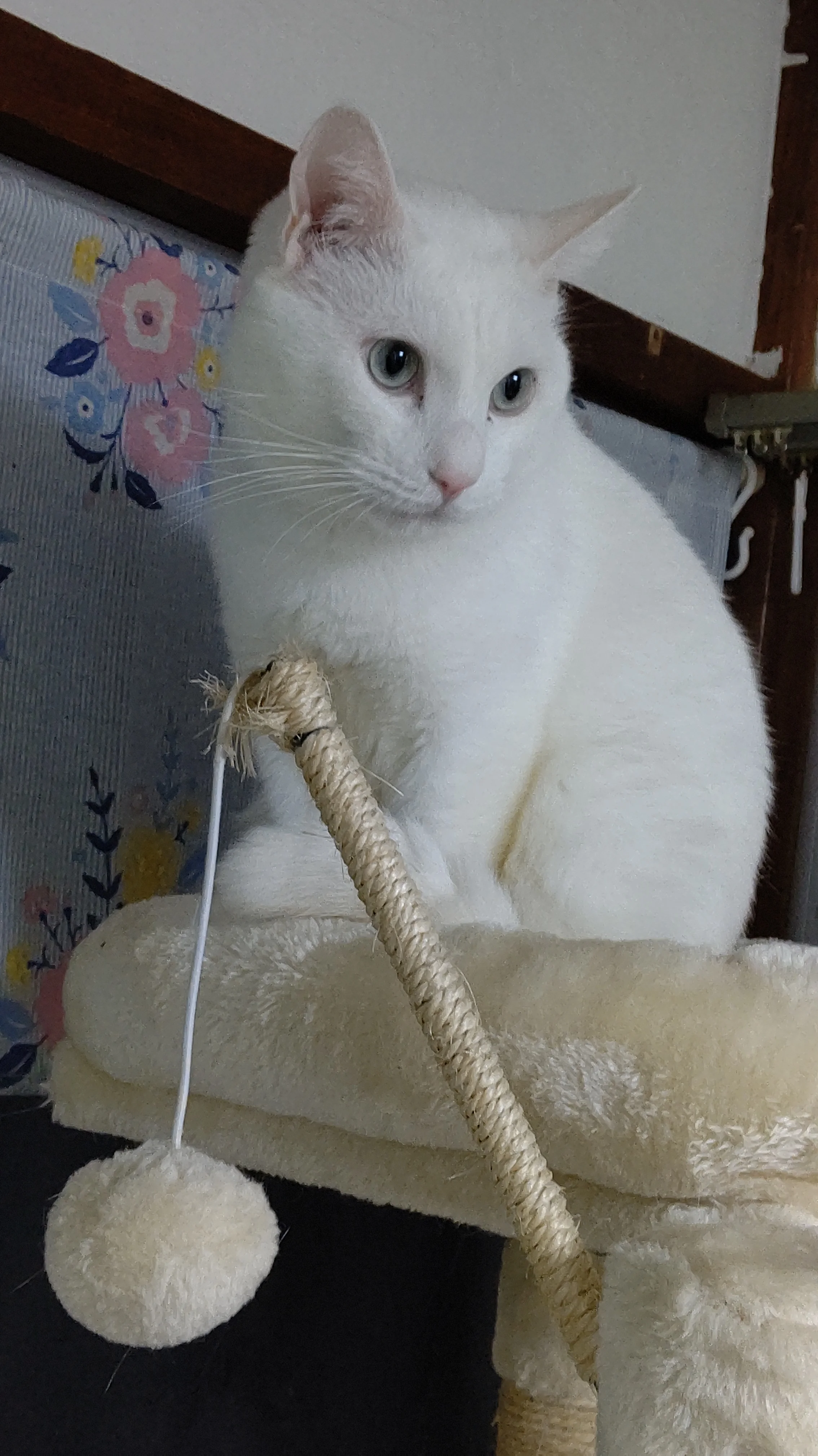 20200315095543-72meko.webp